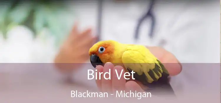 Bird Vet Blackman - Michigan