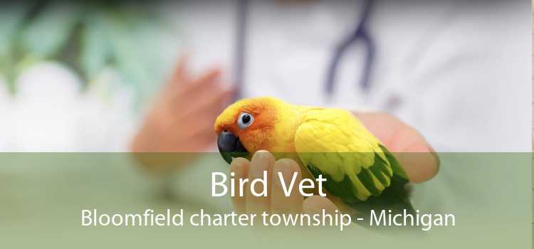 Bird Vet Bloomfield charter township - Michigan