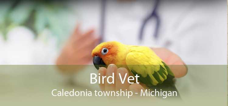 Bird Vet Caledonia township - Michigan