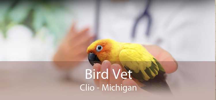 Bird Vet Clio - Michigan