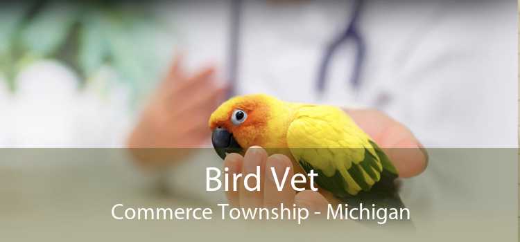Bird Vet Commerce Township - Michigan