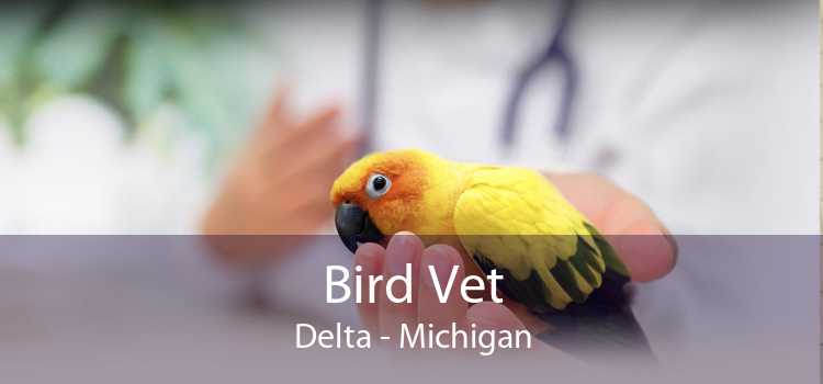 Bird Vet Delta - Michigan