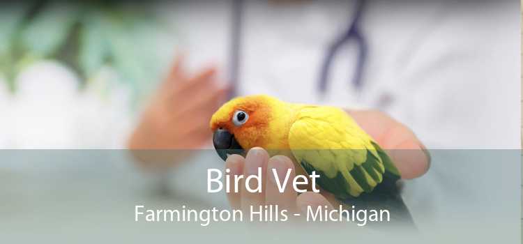 Bird Vet Farmington Hills - Michigan