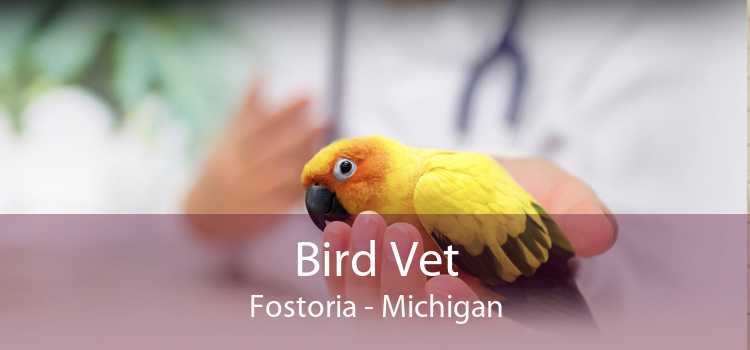 Bird Vet Fostoria - Michigan