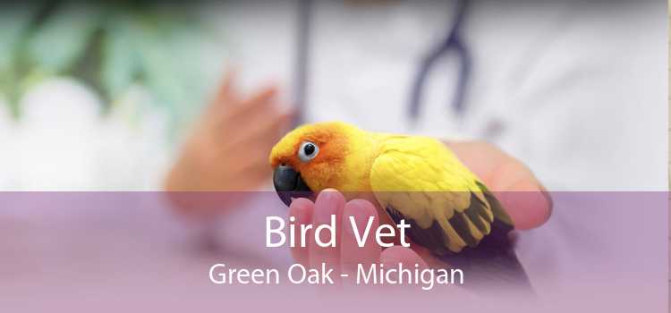 Bird Vet Green Oak - Michigan