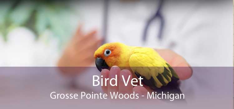 Bird Vet Grosse Pointe Woods - Michigan