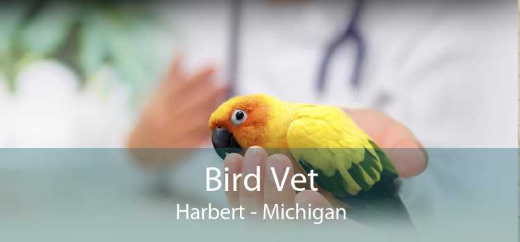 Bird Vet Harbert - Michigan