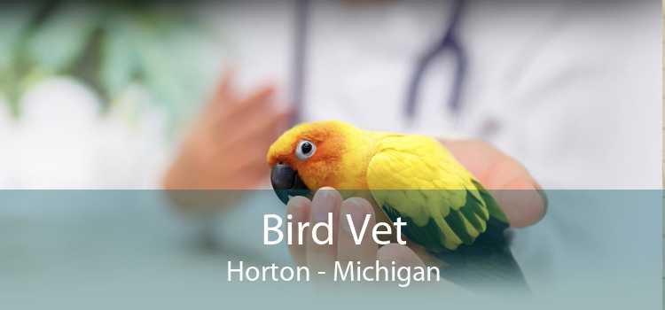 Bird Vet Horton - Michigan