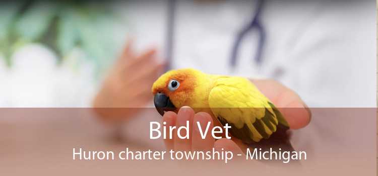Bird Vet Huron charter township - Michigan