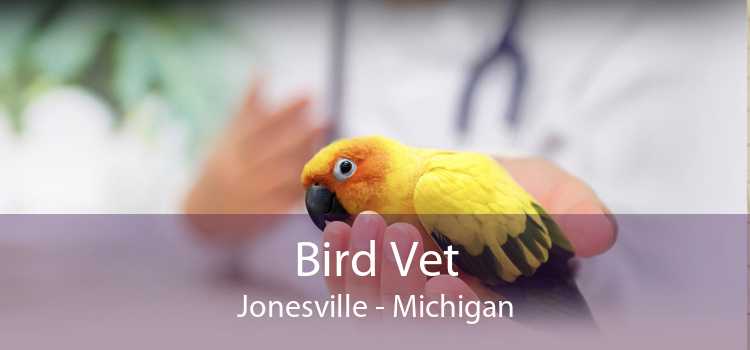 Bird Vet Jonesville - Michigan
