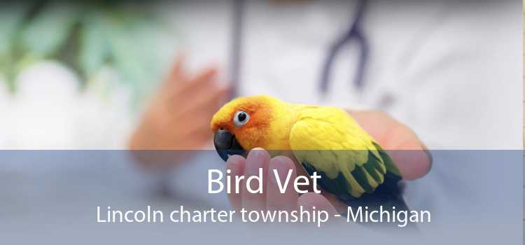 Bird Vet Lincoln charter township - Michigan