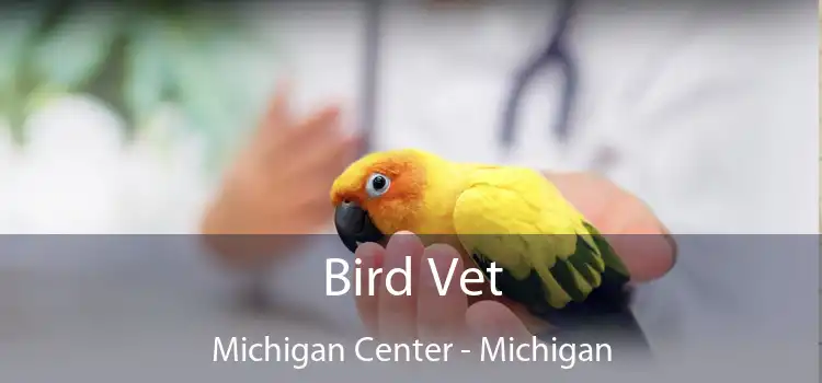 Bird Vet Michigan Center - Michigan
