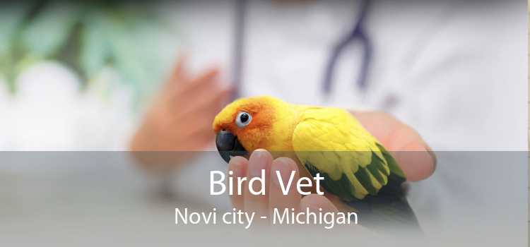 Bird Vet Novi city - Michigan