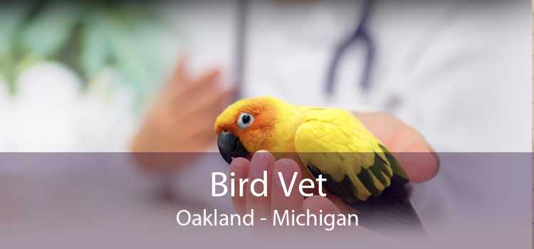 Bird Vet Oakland - Michigan