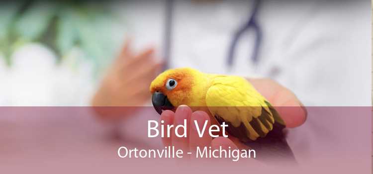 Bird Vet Ortonville - Michigan