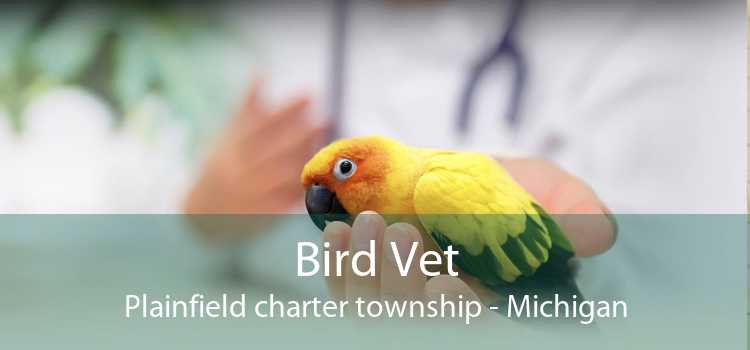 Bird Vet Plainfield charter township - Michigan