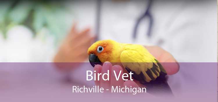 Bird Vet Richville - Michigan