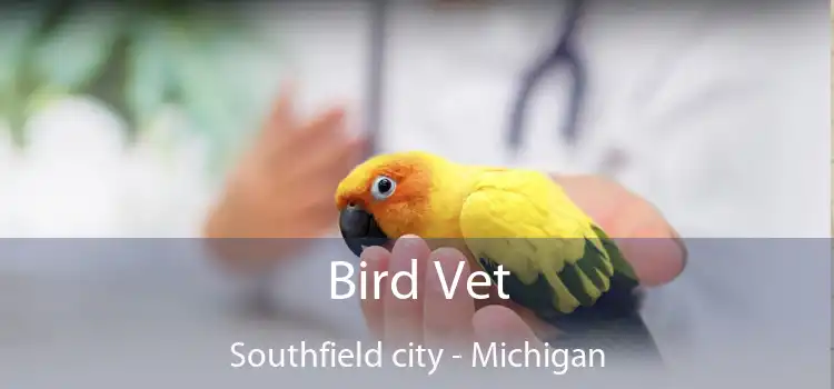 Bird Vet Southfield city - Michigan