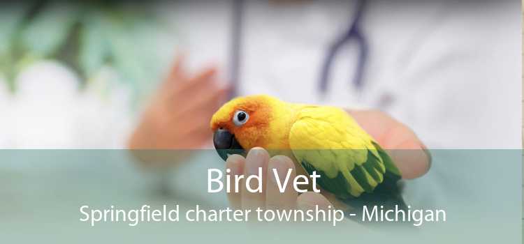 Bird Vet Springfield charter township - Michigan