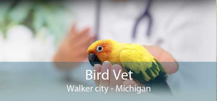Bird Vet Walker city - Michigan