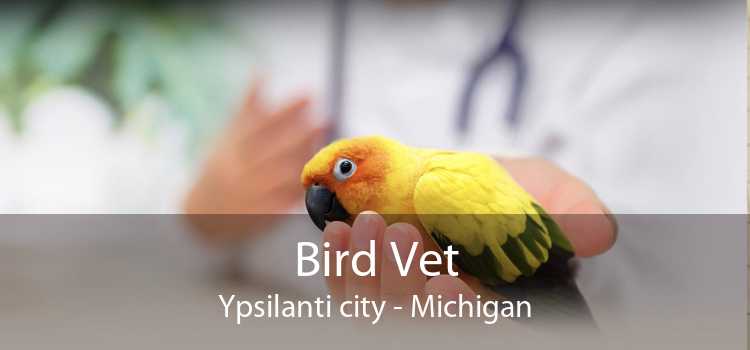 Bird Vet Ypsilanti city - Michigan