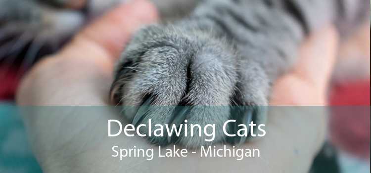 declawing cats spring lake michigan