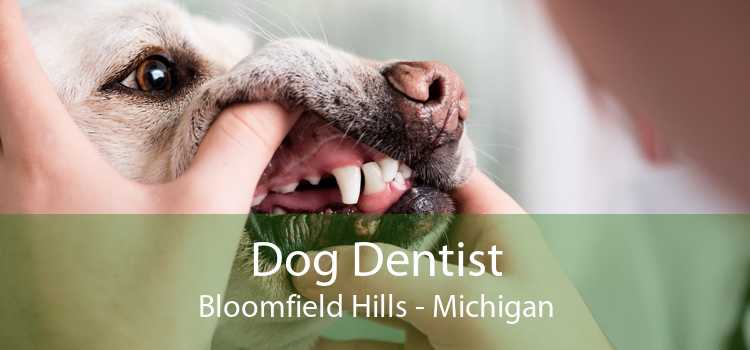 Dog Dentist Bloomfield Hills - Michigan