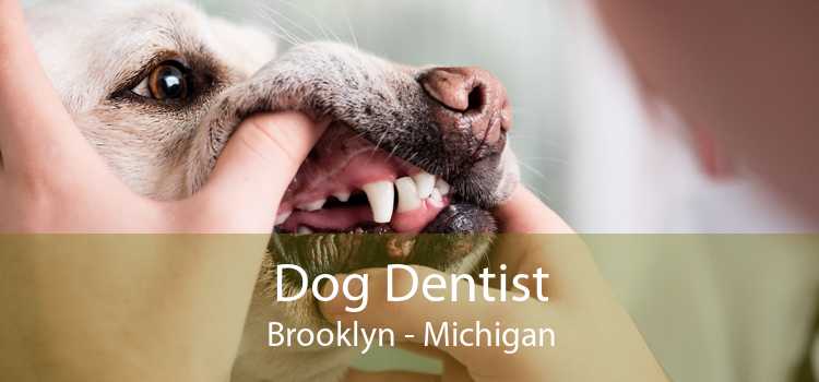 Dog Dentist Brooklyn - Michigan