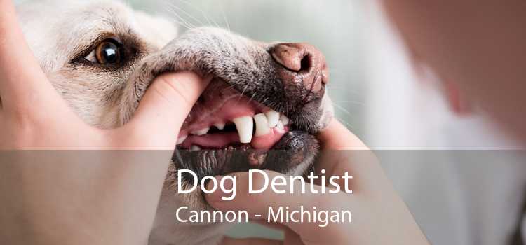 Dog Dentist Cannon - Michigan