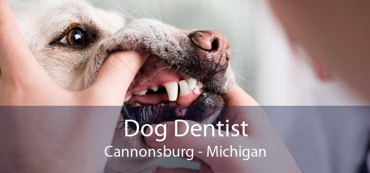 Dog Dentist Cannonsburg - Michigan