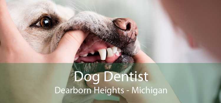 Dog Dentist Dearborn Heights - Michigan