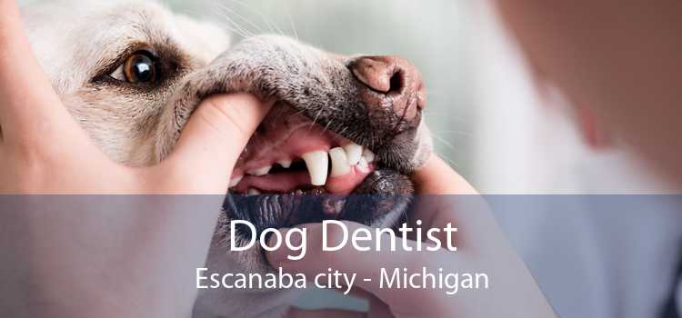 Dog Dentist Escanaba city - Michigan