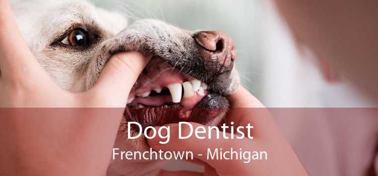 Dog Dentist Frenchtown - Michigan
