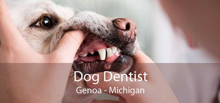 Dog Dentist Genoa - Michigan