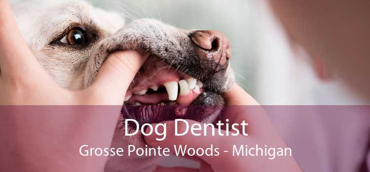 Dog Dentist Grosse Pointe Woods - Michigan