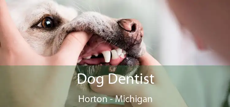Dog Dentist Horton - Michigan