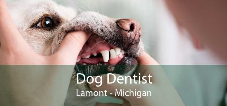 Dog Dentist Lamont - Michigan