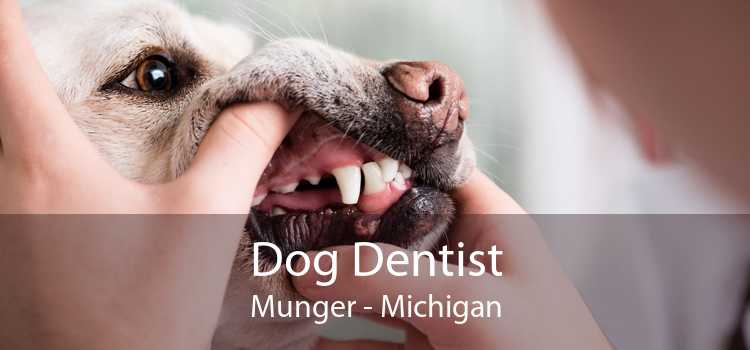 Dog Dentist Munger - Michigan