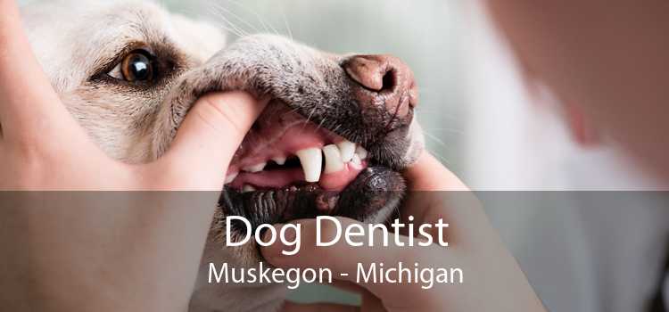 Dog Dentist Muskegon - Michigan