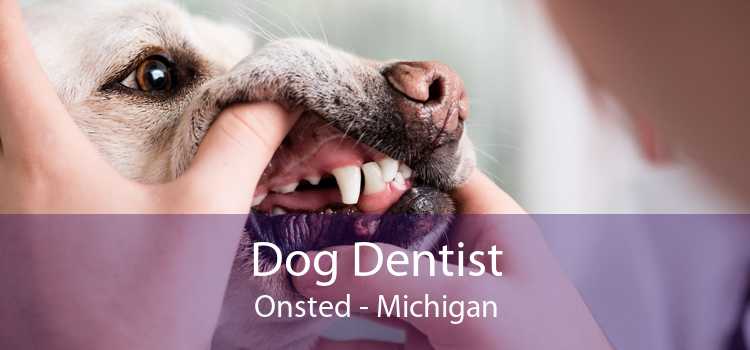 Dog Dentist Onsted - Michigan