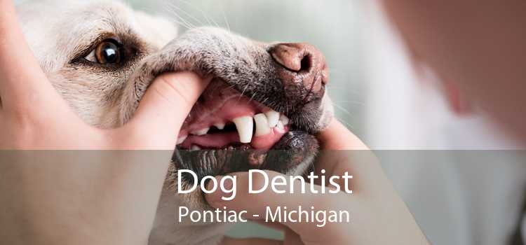Dog Dentist Pontiac - Michigan
