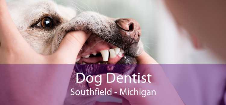 Dog Dentist Southfield - Michigan