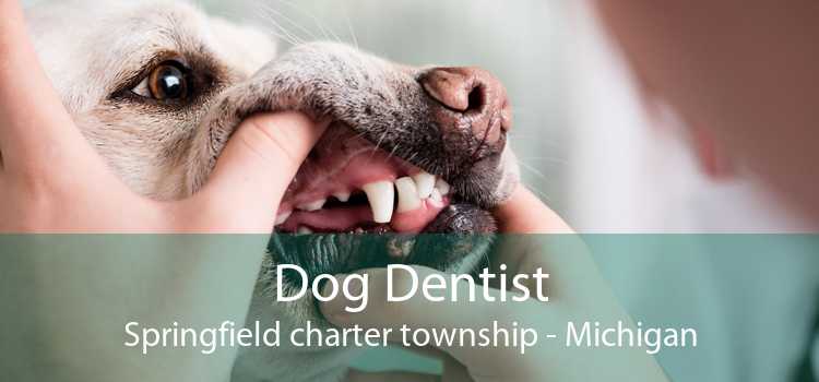 Dog Dentist Springfield charter township - Michigan