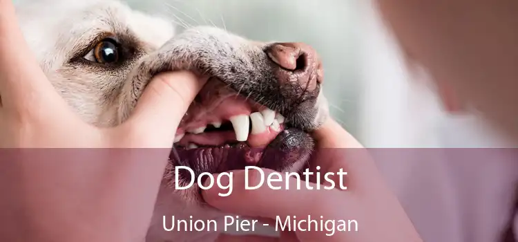 Dog Dentist Union Pier - Michigan