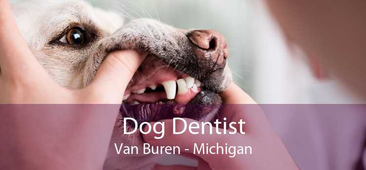 Dog Dentist Van Buren - Michigan