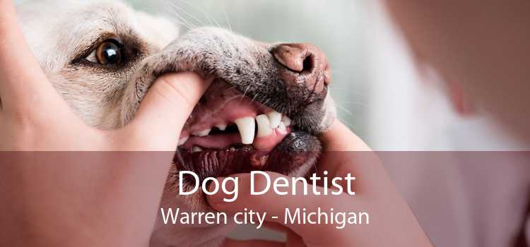 Dog Dentist Warren city - Michigan