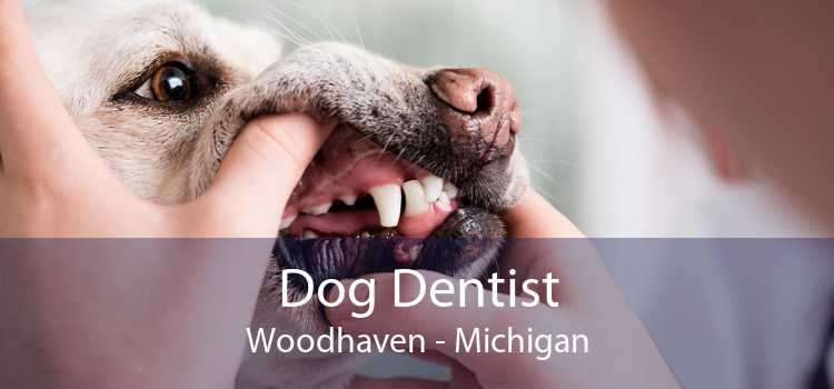 Dog Dentist Woodhaven - Michigan