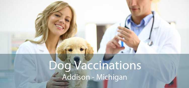 Dog Vaccinations Addison - Michigan