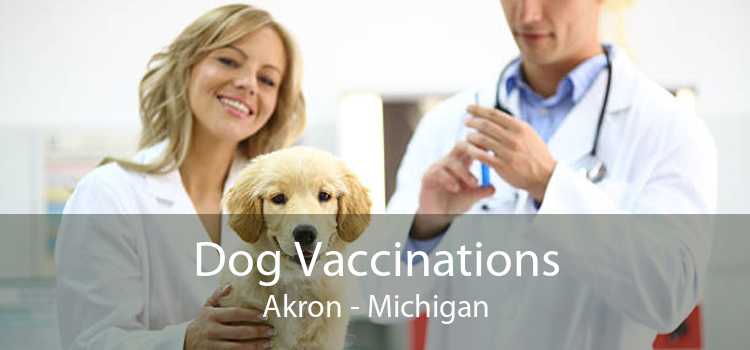 Dog Vaccinations Akron - Michigan