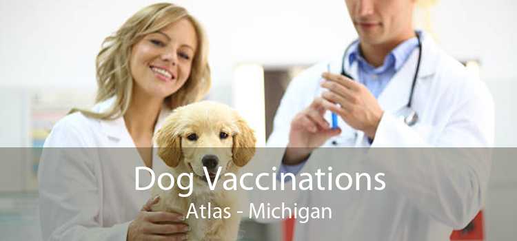 Dog Vaccinations Atlas - Michigan